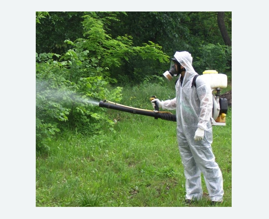 обработка территории от клещей в Кувандыке