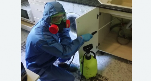 Уничтожение муравьев в квартире. Кувандык