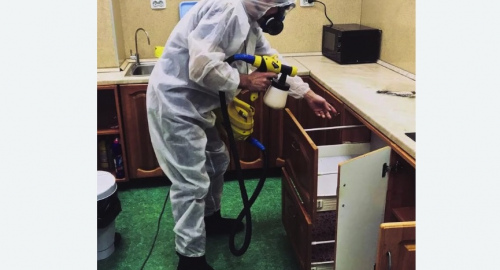 Дезинсекция квартиры. Кувандык