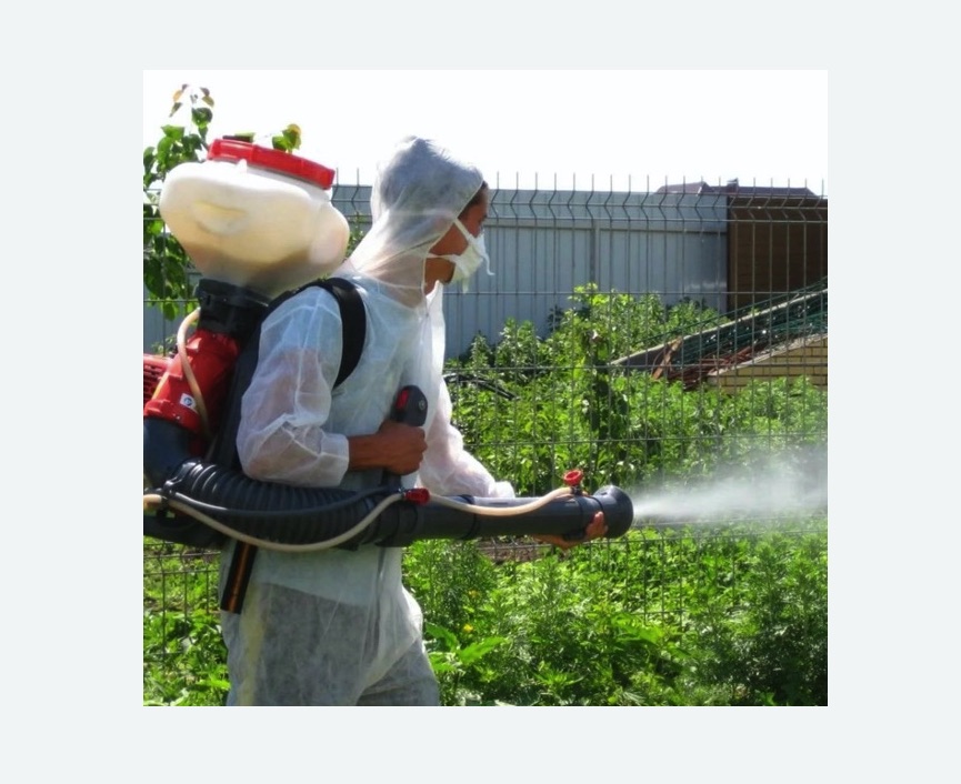 Акарицидная обработка территории в Кувандыке