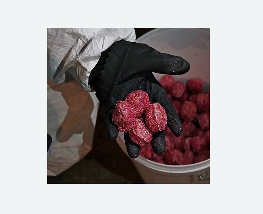 Обработка от крыс в Кувандыке