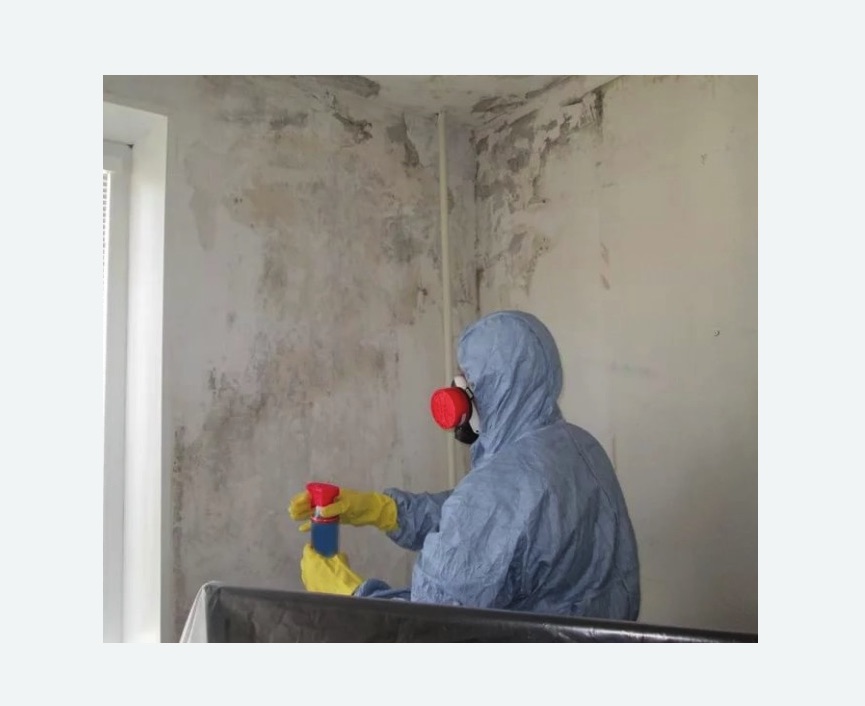 Удаление плесени в квартире в Кувандыке