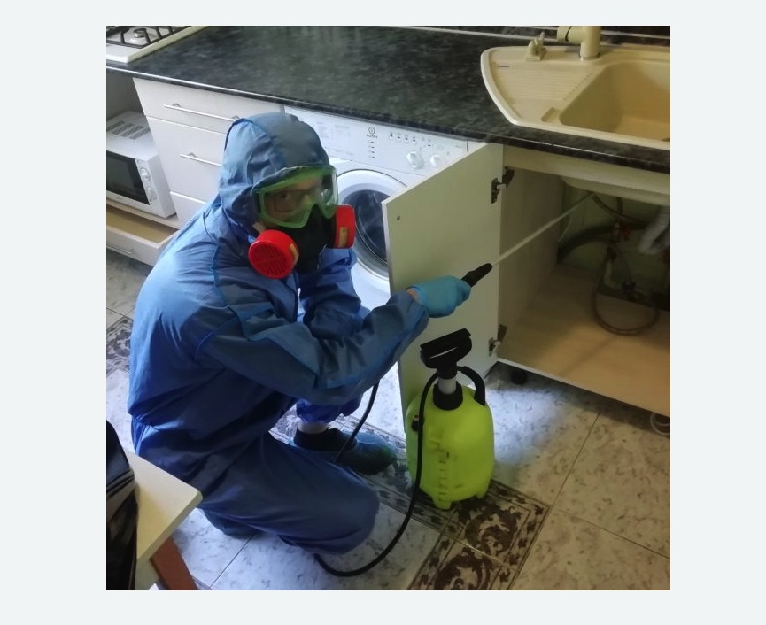 обработка от муравьев в квартире в Кувандыке