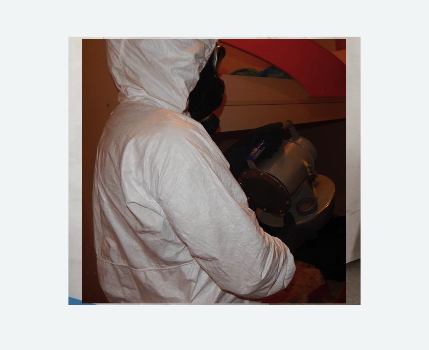 Дезинфекция от муравьев в Кувандыке