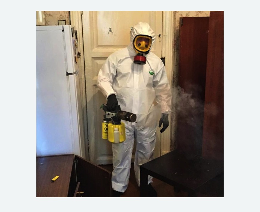 уничтожение муравьев в квартире в Кувандыке